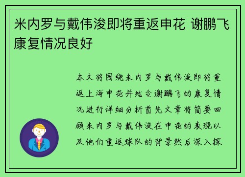 米内罗与戴伟浚即将重返申花 谢鹏飞康复情况良好